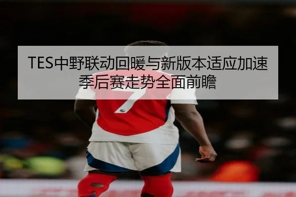TES中野联动回暖与新版本适应加速季后赛走势全面前瞻 | kaiyun